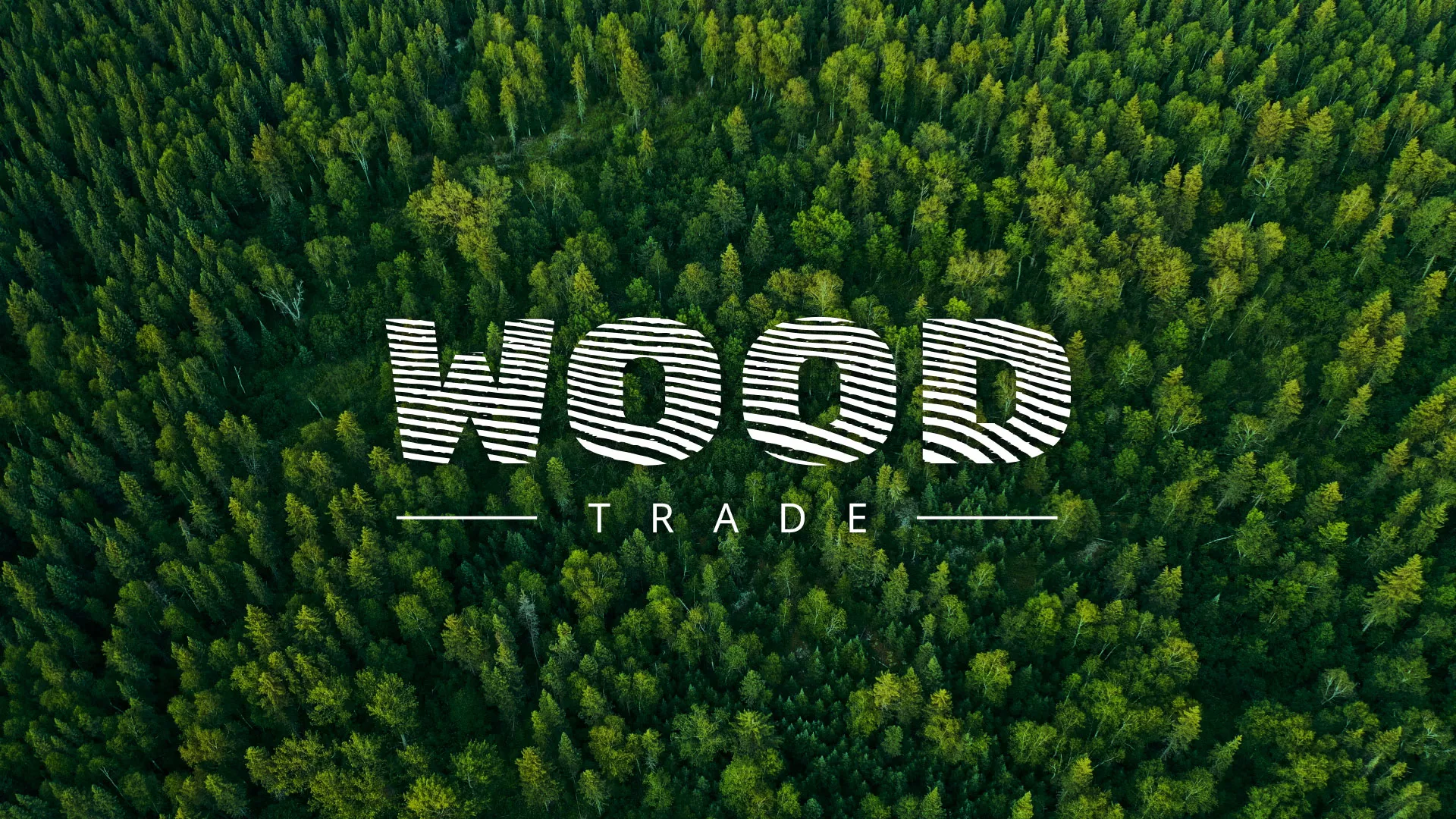 Разработка интернет-магазина компании «Wood Trade» в Таганроге
